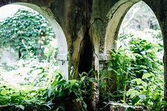 Inside Folly Ruins, Port Antonio Jamaica