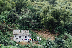 House on Hill in Jungle, Moore Town Jamaica