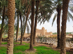al-Rajhi palm groves, al-Bukayriyya, Qasim Region, Saudi Arabia (1)
