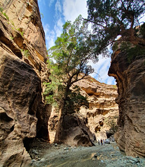 Wadi Lajab, Jazan Region, Saudi Arabia (13)