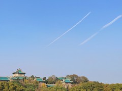 Two Contrails over the Old Library