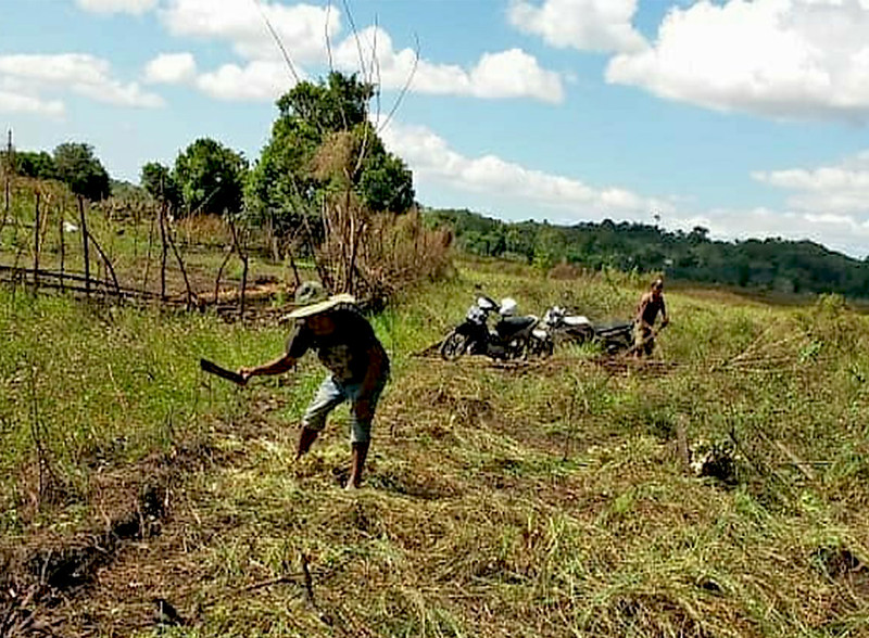 Kegiatan penyiapan lahan demplot oleh Yayasan Koppesda bersama Masyarakat Adat Wundut