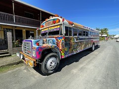Diablo Rojo Panama Bus