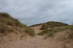 Amongst the Dunes 5415