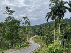 Bosque Protector Seco, Bocas del toro, Panama