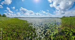 Łuckie Lake, Poleski National Park