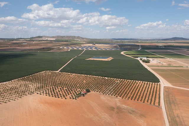 Intensive agriculture, Province de Albacete, Segura Basin, Spain (4)