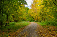 Zemplén ősszel - Zemplén in autumn