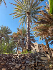 Misfat al-Abriyyin, Oman (9)