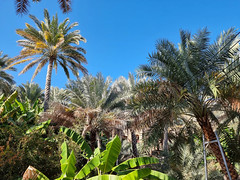 Misfat al-Abriyyin, Oman (12)