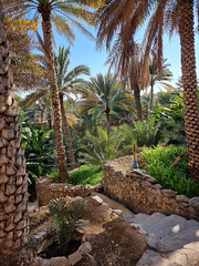 Misfat al-Abriyyin, Oman (5)