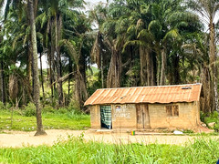 RDC: Visite au village de Kwakwa, Kongo Central