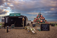 Aldeburgh Christmas Tree