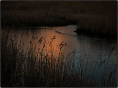Sunset on Reed Marsh