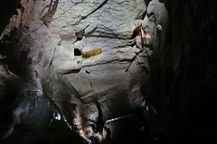 Cuevas de San José - Vista general 2