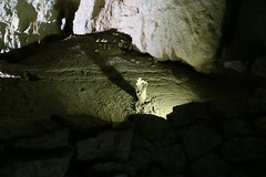 Cuevas de San José - Vista general 3