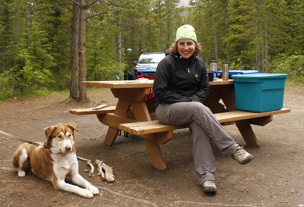dog and camper