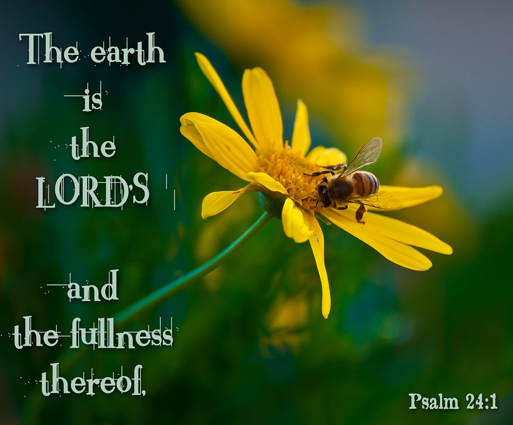 psalm-24-1-god-created-and-sustains-the-whole-earth-it-be-flickr