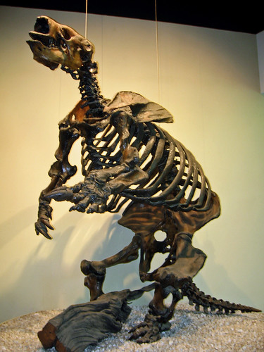 Harlan's ground sloth | Fossilized skeleton of a Harlan's gr… | Flickr