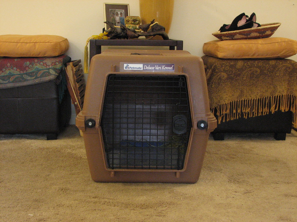 pet carrier | Somewhat (OK, a LOT) oversized for two little … | Flickr