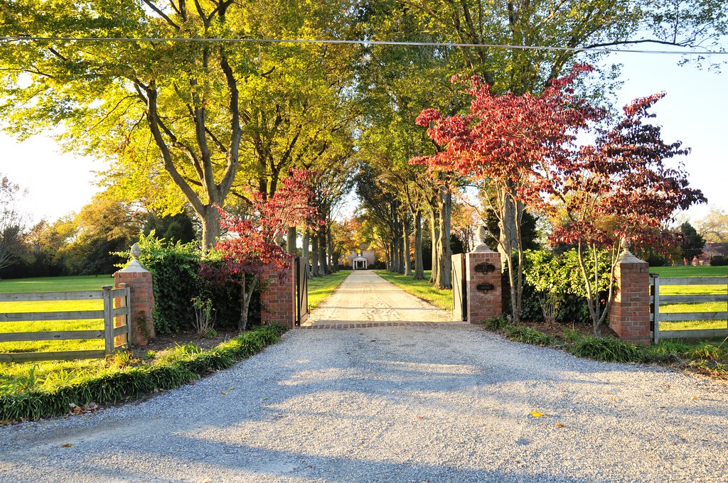 Tree-lined driveway | Queenstown, MD | William Johns | Flickr
