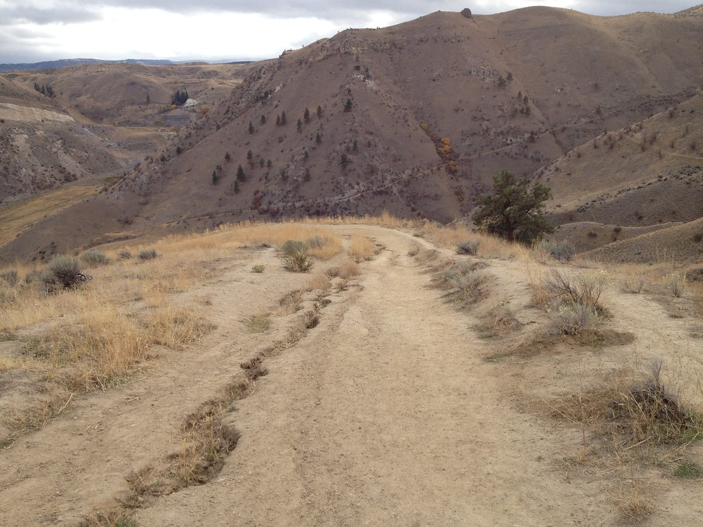 Saddle Rock Trails