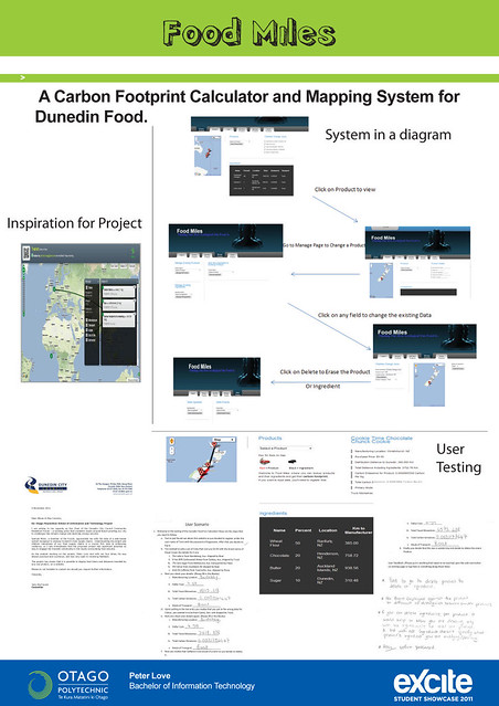 digital marketing capstone project pdf examples