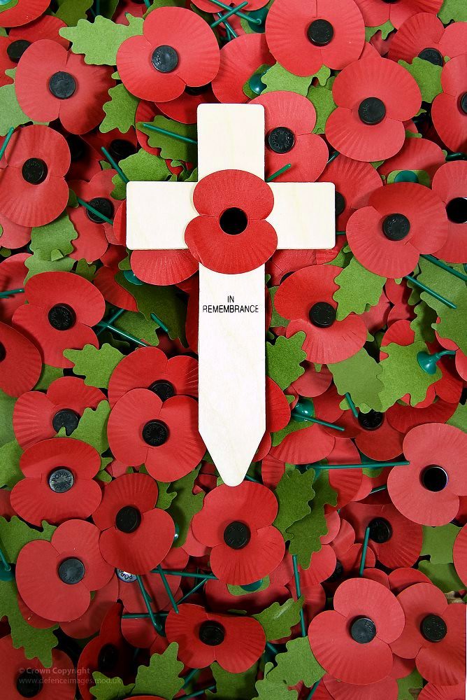 remembrance-cross-laying-on-poppies-a-remembrance-cross-is-flickr