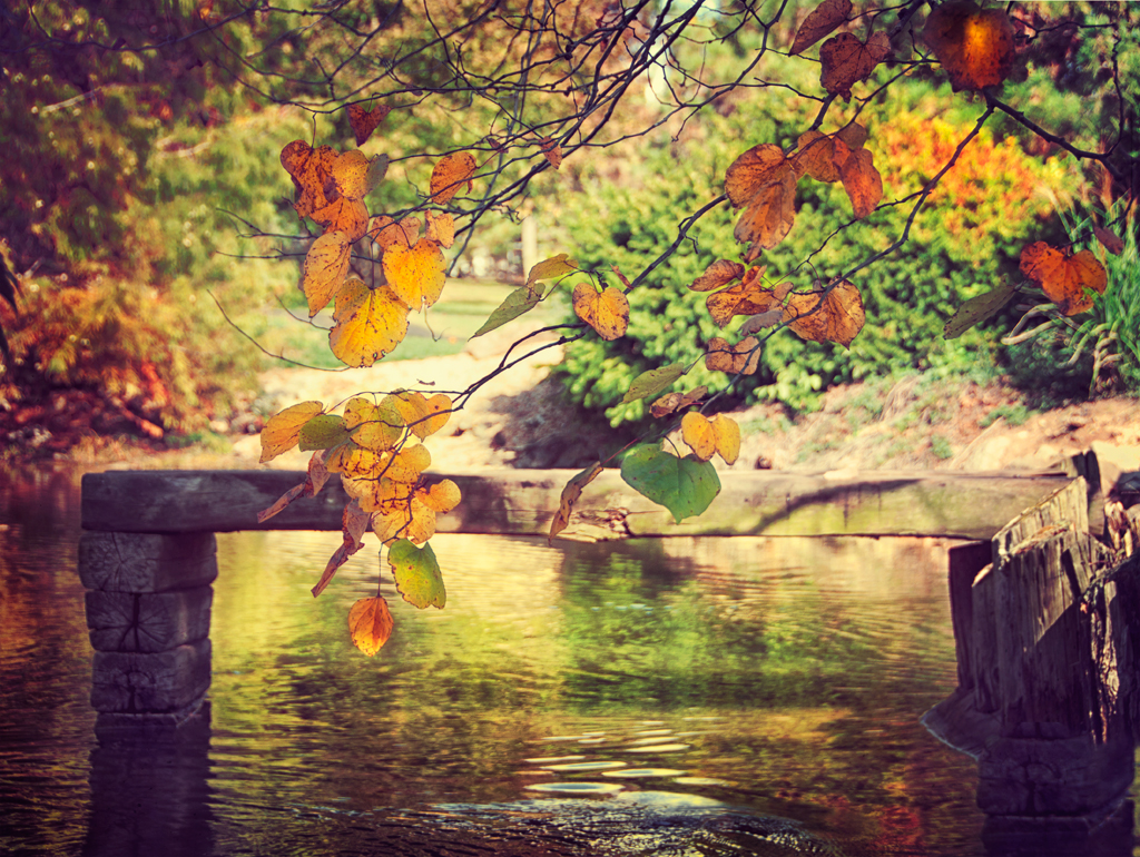 Autumn Zen | While down in Springfield, Missouri visiting La… | Flickr