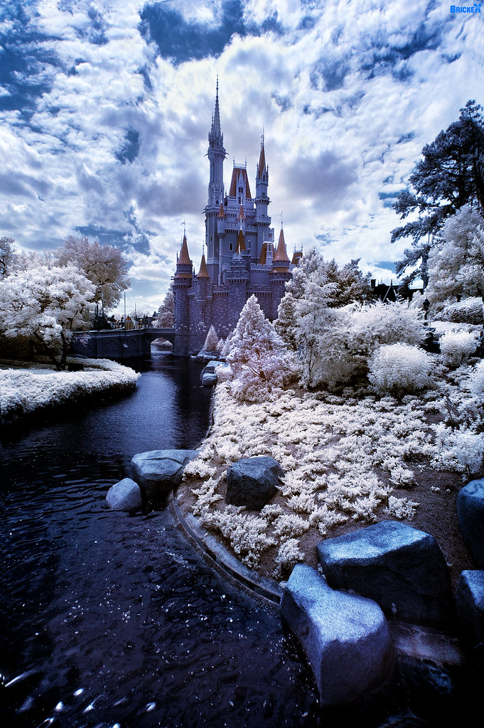 Walt Disney World Winter Wonderland? | Lake Buena Vista, Flo… | Flickr