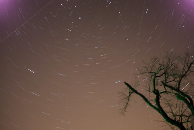 Star trails from Caledon State Park in Virginia. The light lines are from jets flying through the frame.