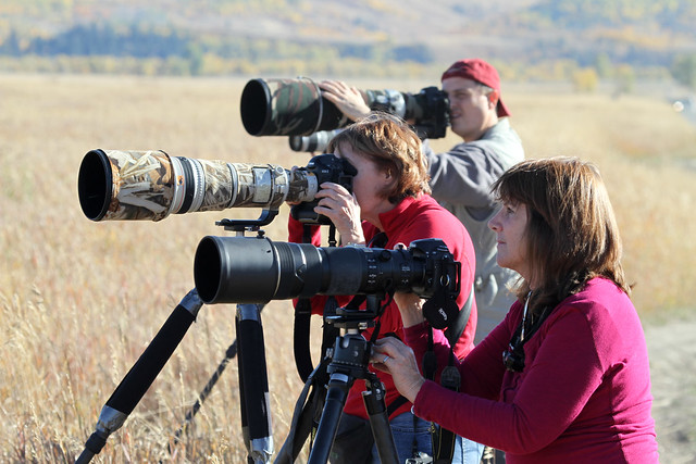 Wildlife photographers with big telephoto lens