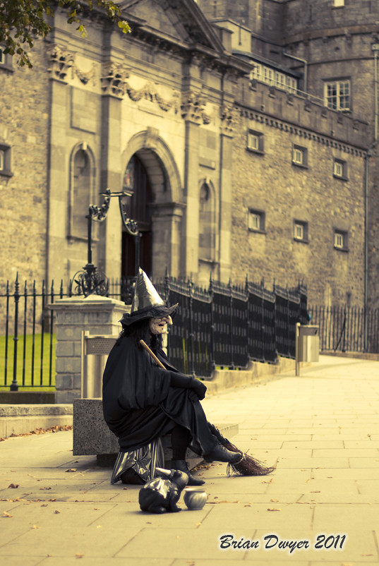 Alice Kyteler the Witch of kilkenny | @ kilkenny castle Dame… | Flickr