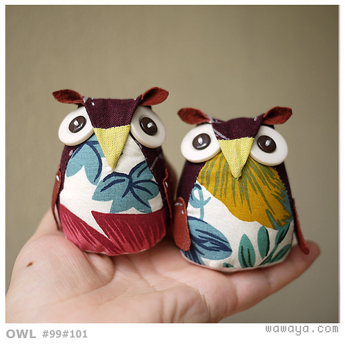 OWL#99#101 | ping yu | Flickr
