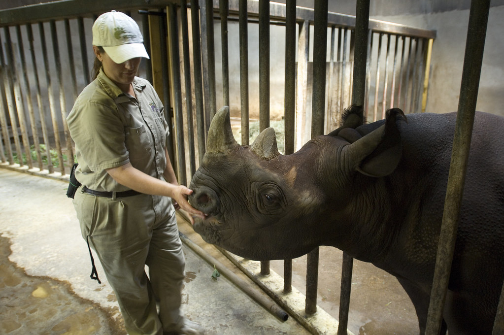 how-to-become-a-zookeeper-salary-qualification-skills-role-and