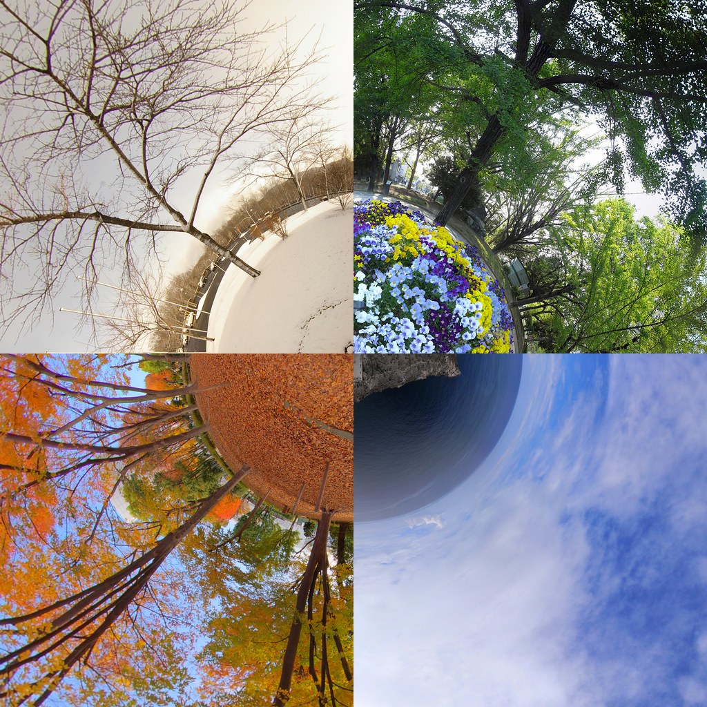 Four seasons in Japan | Winter: Zao www.flickr.com/photos/vi… | Flickr