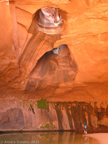 Golden Cathedral in Neon Canyon, Grand Staircase-Escalante National Monument, Utah