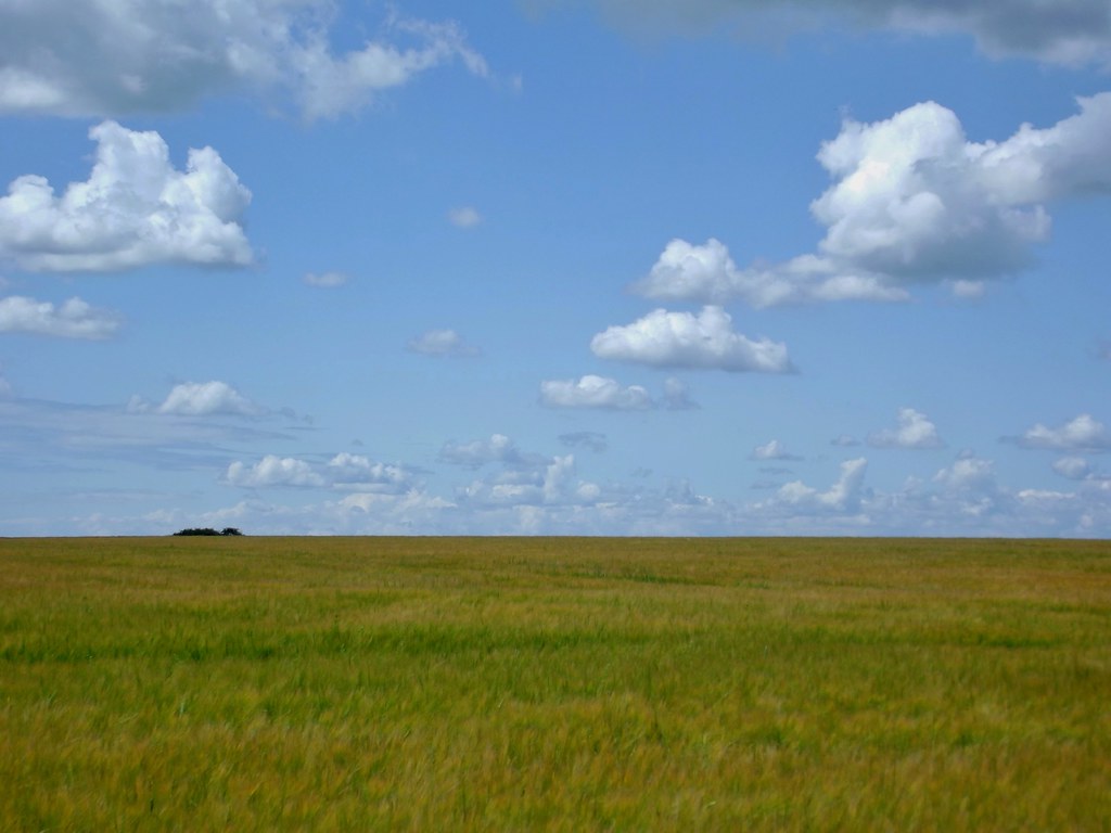 Salisbury Plains in Wiltshhire, England - June 2011 | Flickr