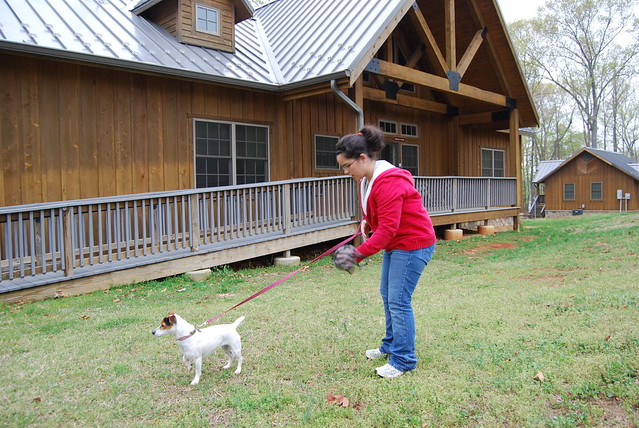 Virginia State Parks are pet friendly, and everyone appreciates good pet stewardship!