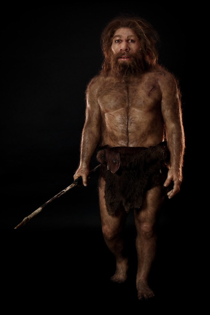 Homo Sapiens Full Body Related Keywords & Suggestions - Homo