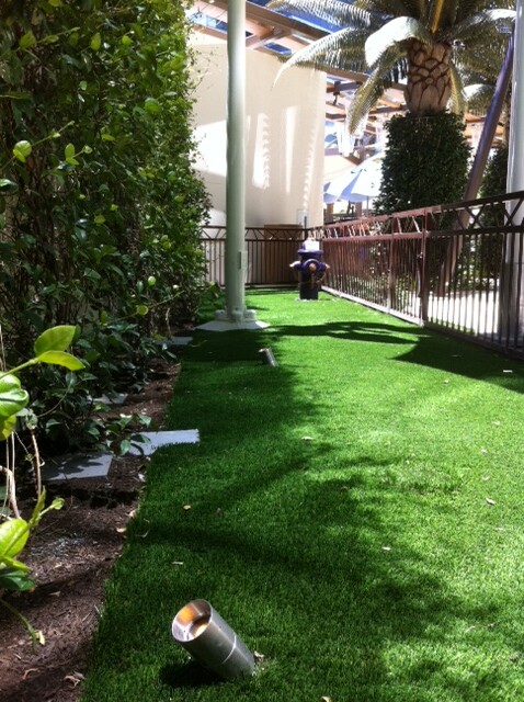 Pet Patch Area Near The Bamboo Pool At The Pet Friendly Th ...