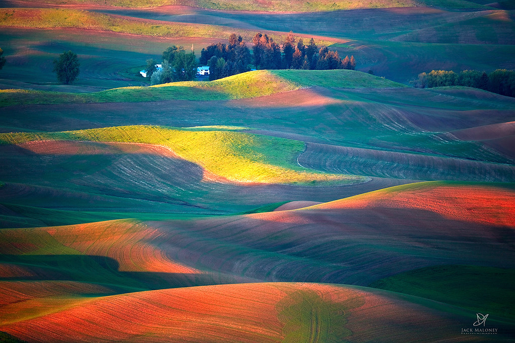 The Quilt | The Quilt Explosion of color on the Palouse ** |… | Flickr