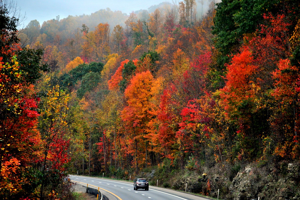 Drive into Autumn [Explore] | West Virginia scene along Inte… | Flickr