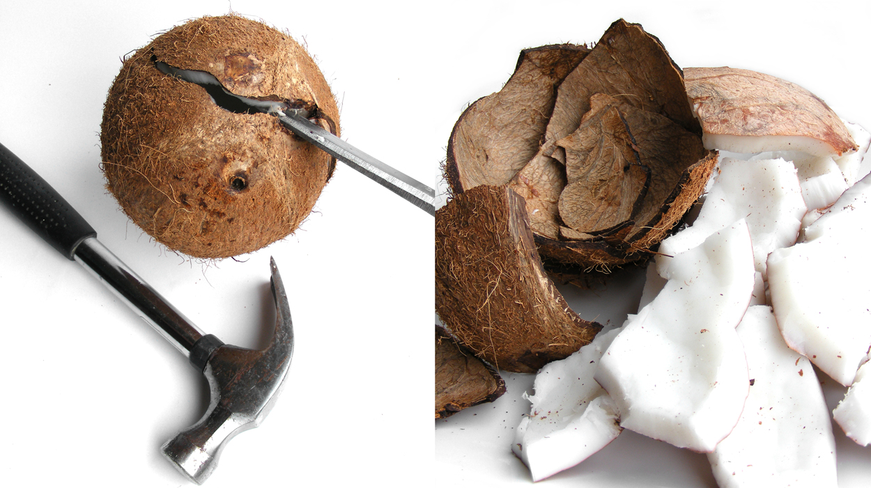 eeuw eenvoudig plastic Verse kokosnoot | Aziatische-ingrediënten.nl