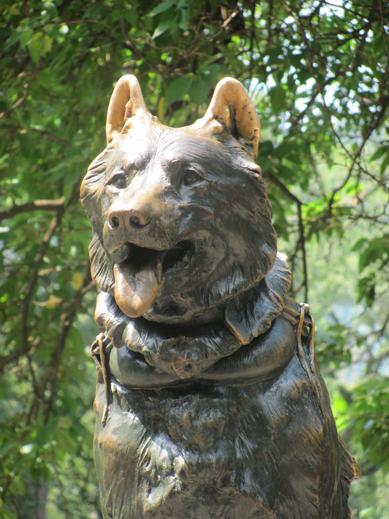 Balto Statue | A photo of the Balto statue from Central Park… | Flickr