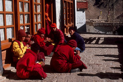 Novice monks having lunch at Phyang Monastery - November 2008 [LDK0809R0323]
