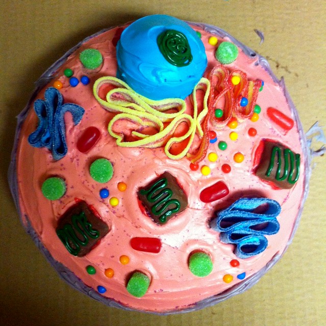 3d animal cell project