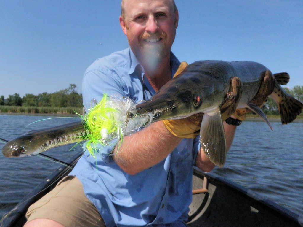 Pro Tips: How to Fly Fish for Longnose Gar - Orvis News