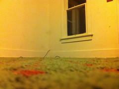 A dirty carpet in a room.