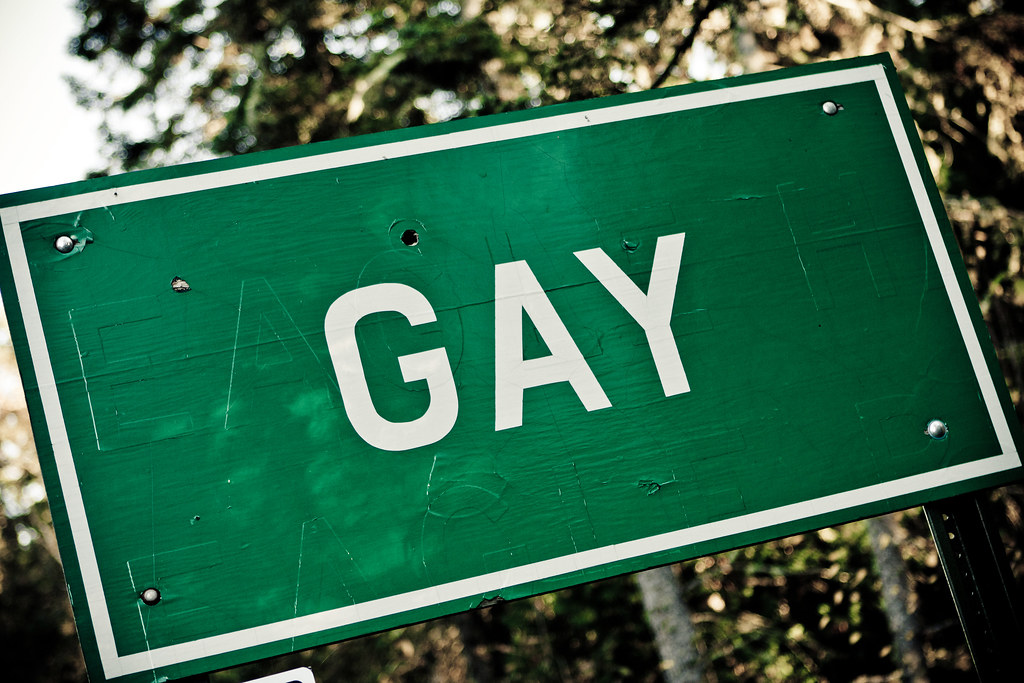 gay-sign-gay-michigan-marty-hogan-flickr